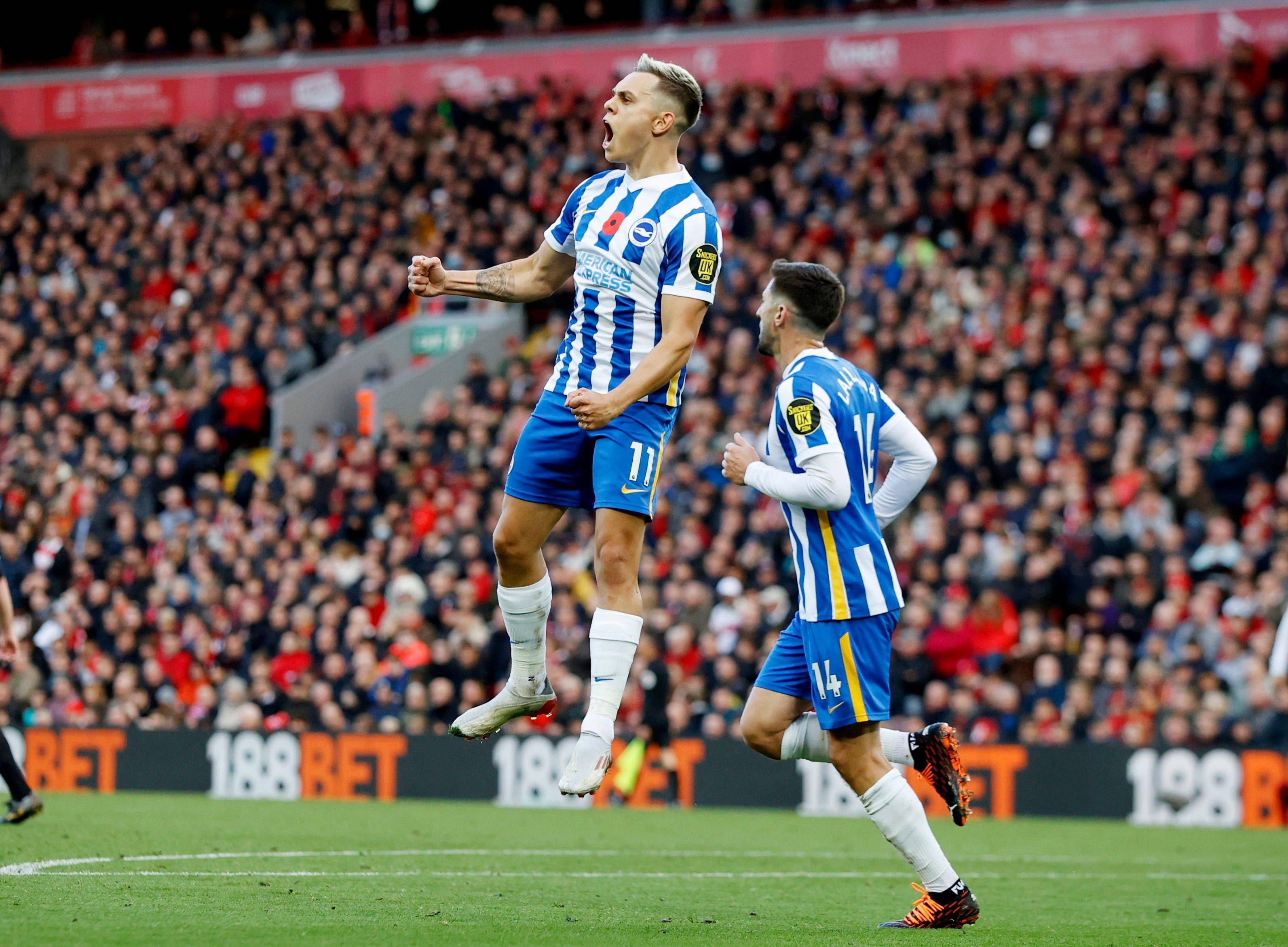 任俊霏和邢 任俊霏和邢